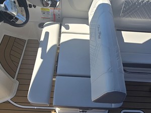 2026 Sea Ray SDX 250 16