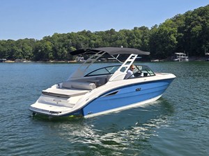 2026 Sea Ray SDX 250 29