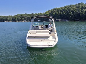 2026 Sea Ray SDX 250 30