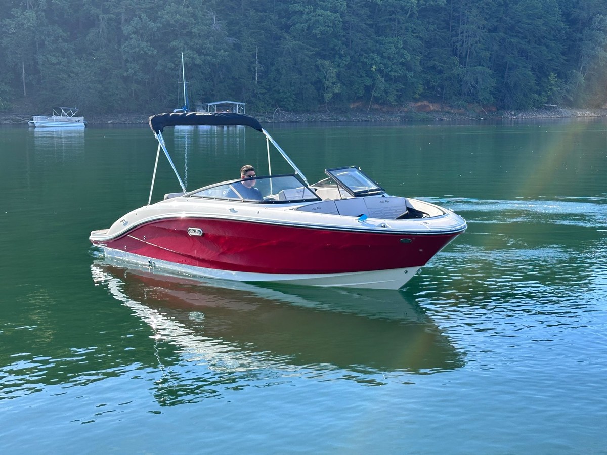 2026 Sea Ray SPX 210 5