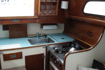 REGGAE 7 