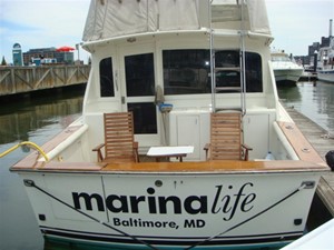 38' Ocean aft profile