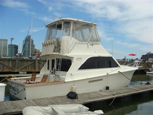 38' Ocean starboard aft profile